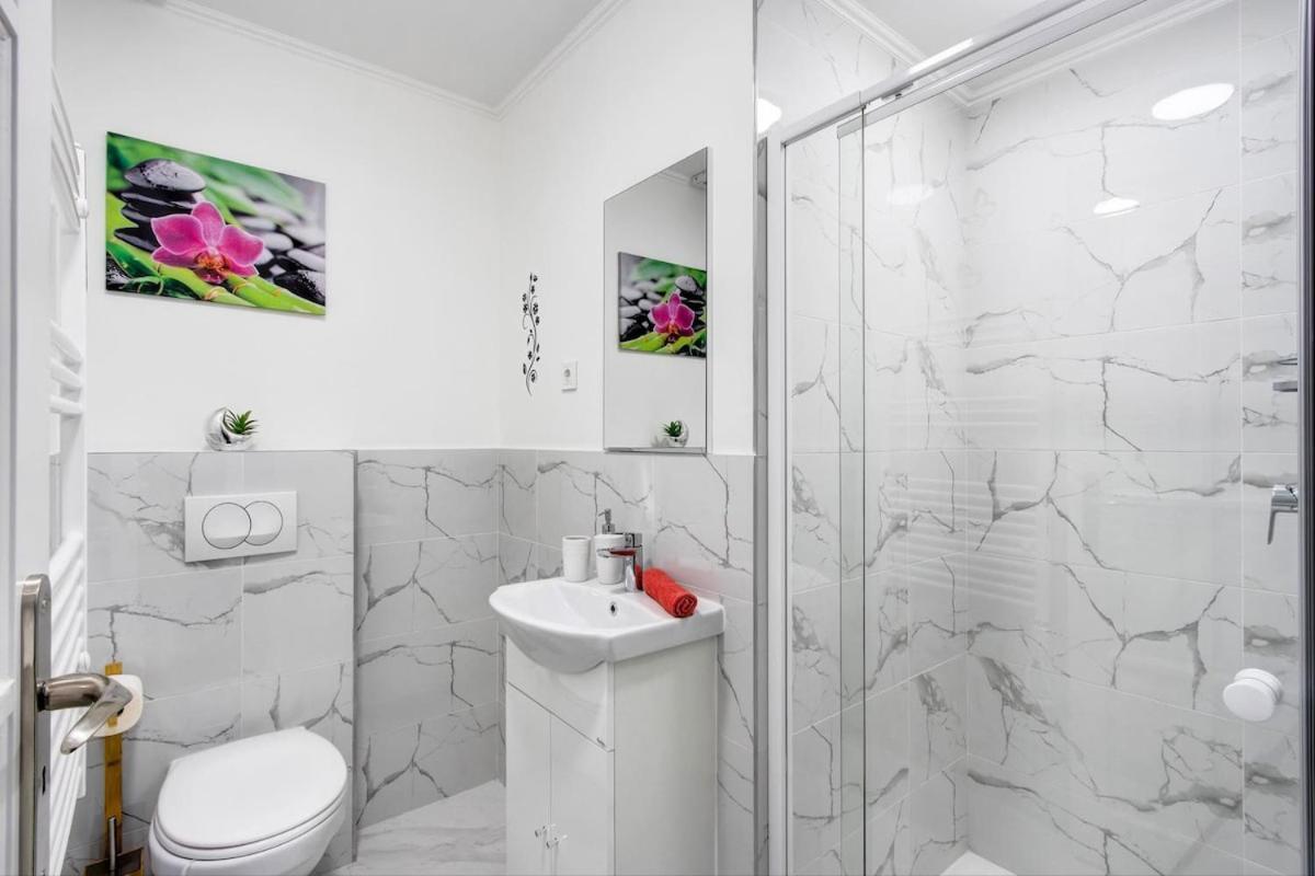 The Spacious Dream Apartment
